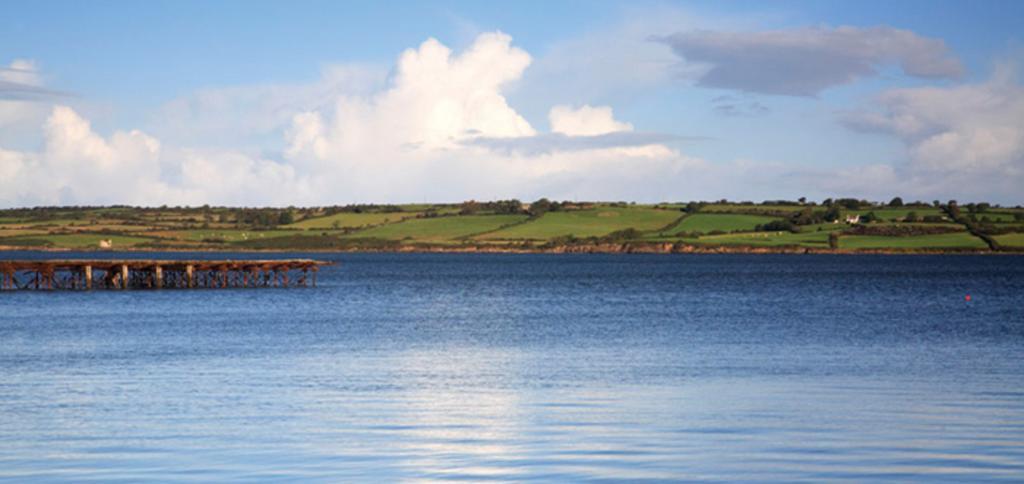 Bed and Breakfast Knights Haven Glin Exteriér fotografie