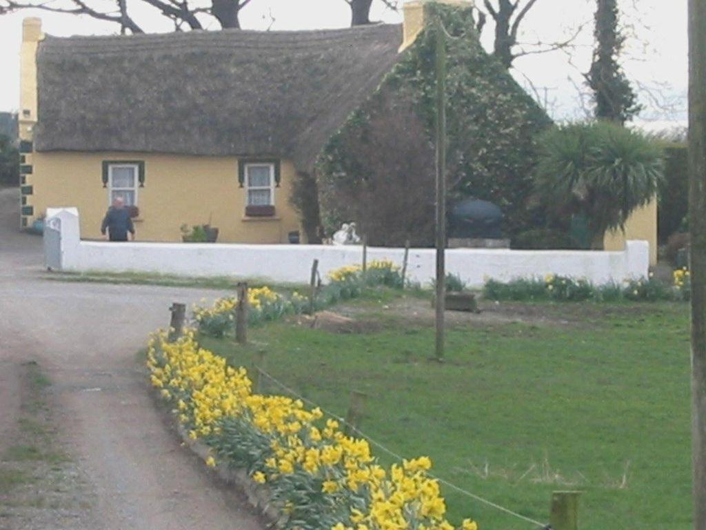 Bed and Breakfast Knights Haven Glin Exteriér fotografie